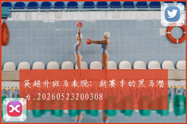 英超升班马表现：新赛季的黑马潜力_20260523200308